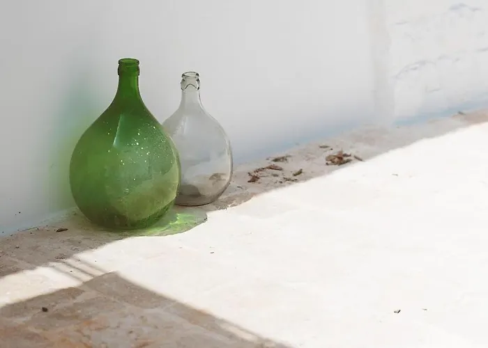 Trullo La Dama Forestiera 빌라 알베르벨로